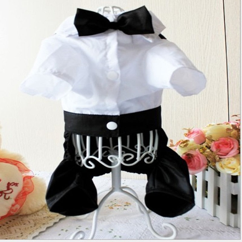 Handsome Stylish Pet Suit with Bow Tie - Tampa Home & Garden Store