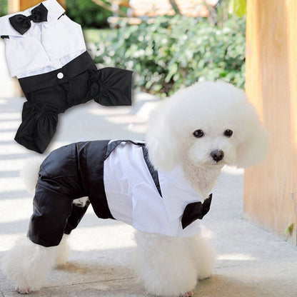 Handsome Stylish Pet Suit with Bow Tie - Tampa Home & Garden Store