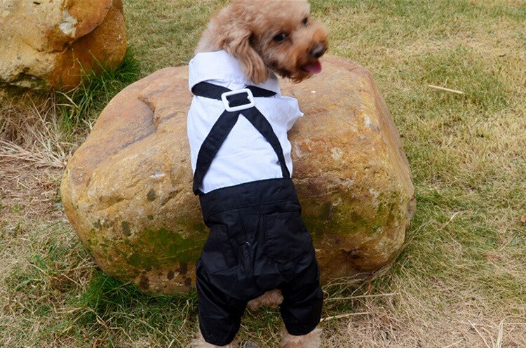 Handsome Stylish Pet Suit with Bow Tie - Tampa Home & Garden Store