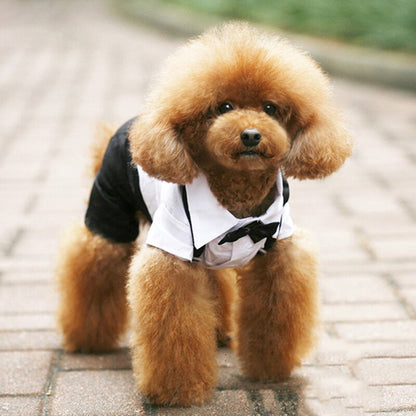 Handsome Stylish Pet Suit with Bow Tie - Tampa Home & Garden Store