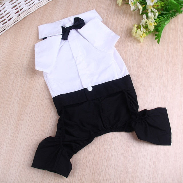 Handsome Stylish Pet Suit with Bow Tie - Tampa Home & Garden Store