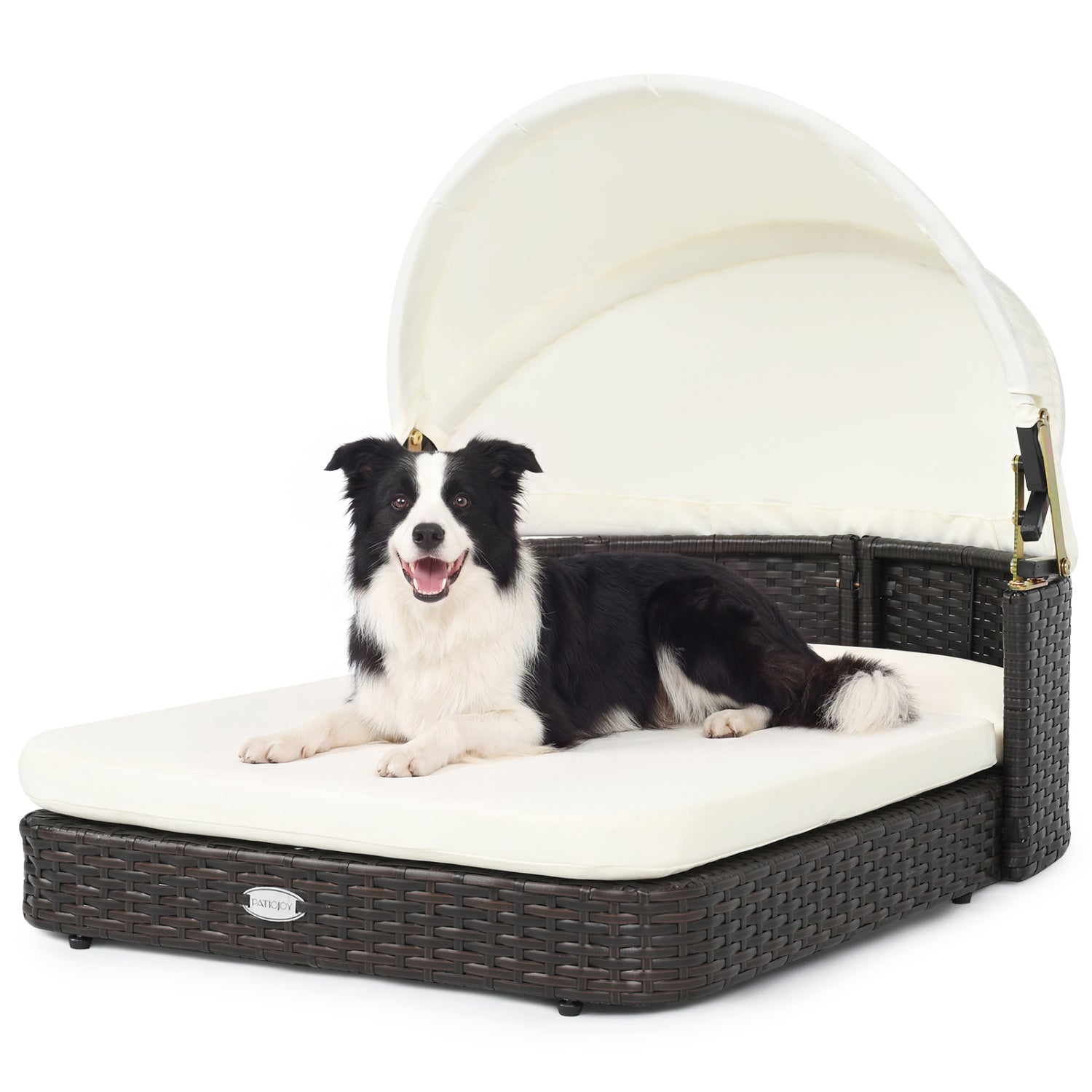 Rattan Pet Daybed with Adjustable Canopy white cushion for small to medium dogs on Tampa Home & Garden Store