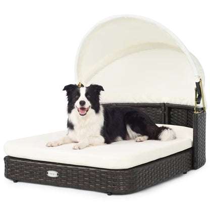 Rattan Pet Daybed with Adjustable Canopy white cushion for small to medium dogs on Tampa Home & Garden Store