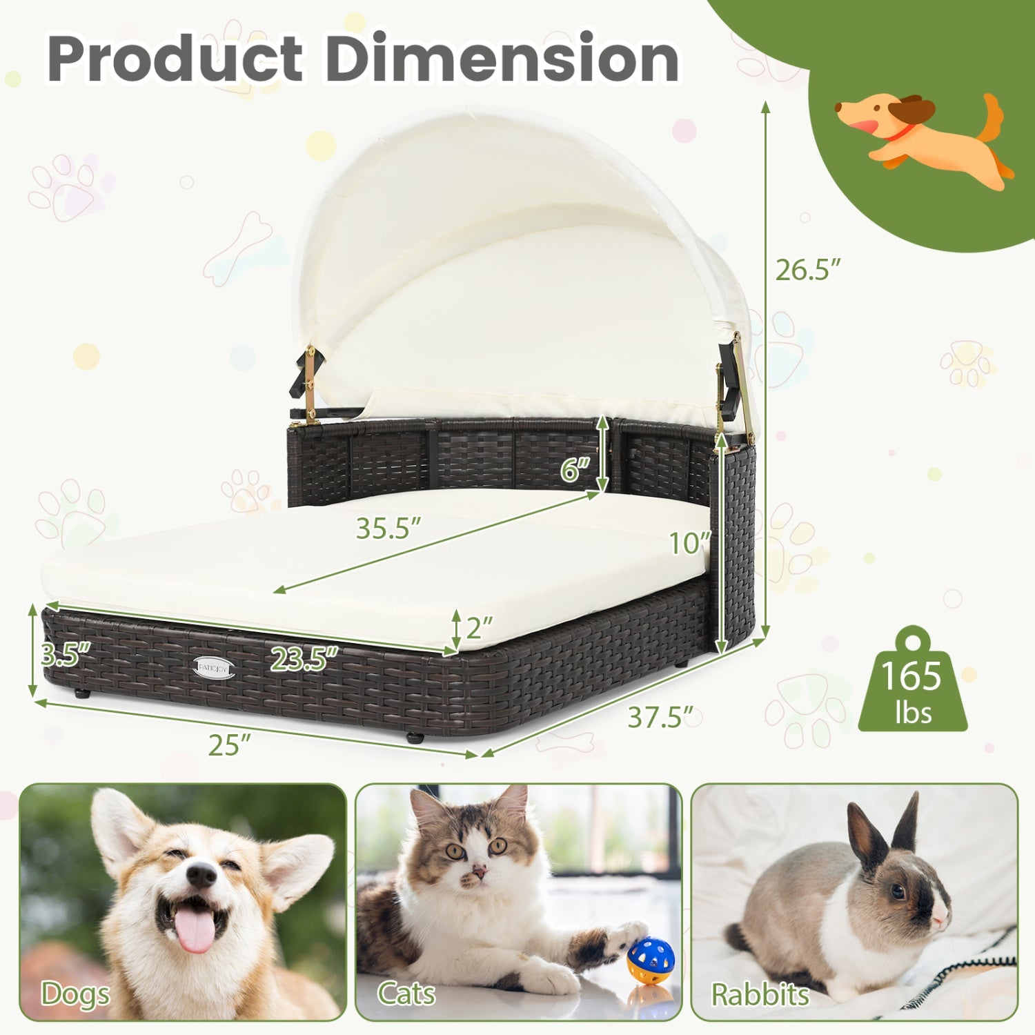 DirectDeals rattan pet daybed with adjustable canopy, cream cushion wicker frame for small dogs on Tampa Home & Garden Store