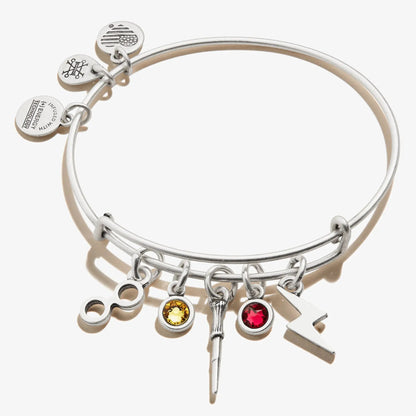Harry Potter Character Multi-Charm Bangle