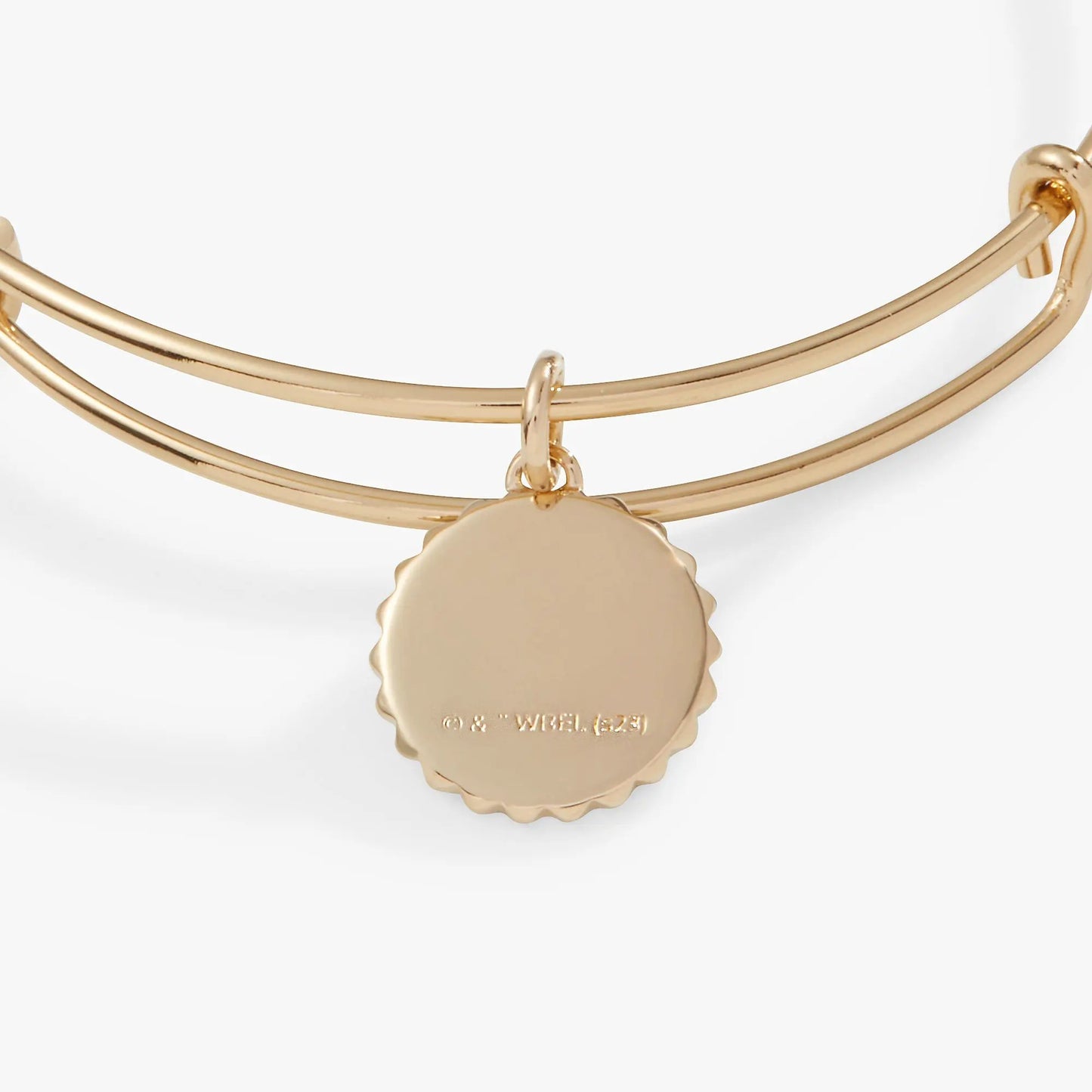 Harry Potter Gryffindor Charm Bangle, goldtone ALEX AND ANI bracelet with circular pendant on Tampa Home & Garden Store