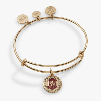 Harry Potter Gryffindor House charm bangle by ALEX AND ANI with three gold discs and crest on Tampa Home & Garden Store