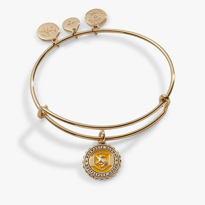 Gold-toned ALEX AND ANI bangle with three Harry Potter charms including Hufflepuff crest on Tampa Home & Garden Store