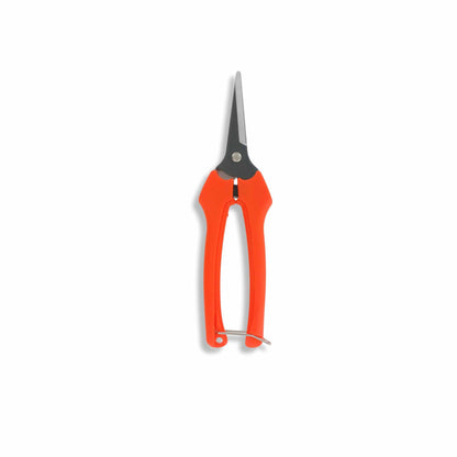 Harvesting Pruning Shears | 185 mm - Tampa Home & Garden Store