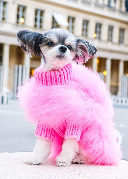 Haute Couture Feathered Luxury Pet Sweater - Tampa Home & Garden Store