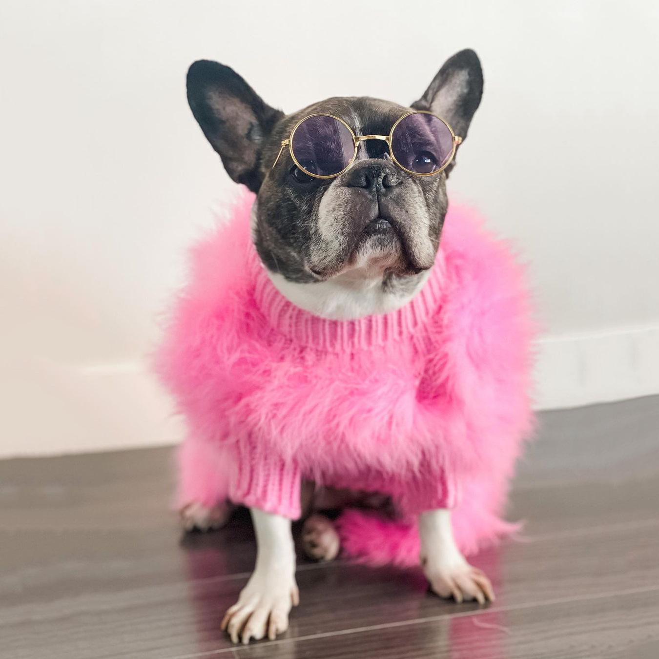 Haute Couture Feathered Luxury Pet Sweater - Tampa Home & Garden Store