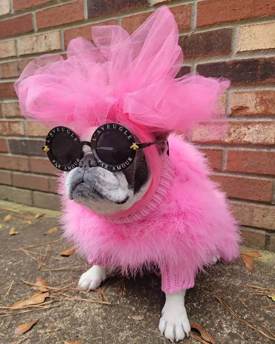 Haute Couture Feathered Luxury Pet Sweater - Tampa Home & Garden Store