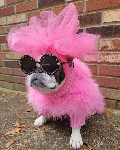 Haute Couture Feathered Luxury Pet Sweater - Tampa Home & Garden Store