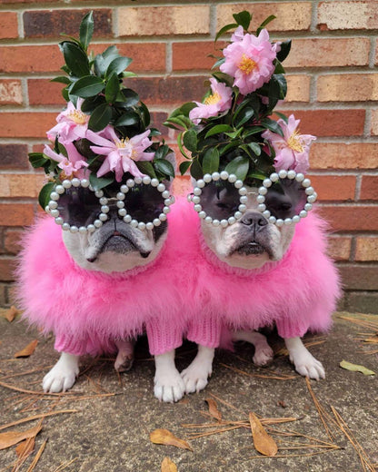 Haute Couture Feathered Luxury Pet Sweater - Tampa Home & Garden Store