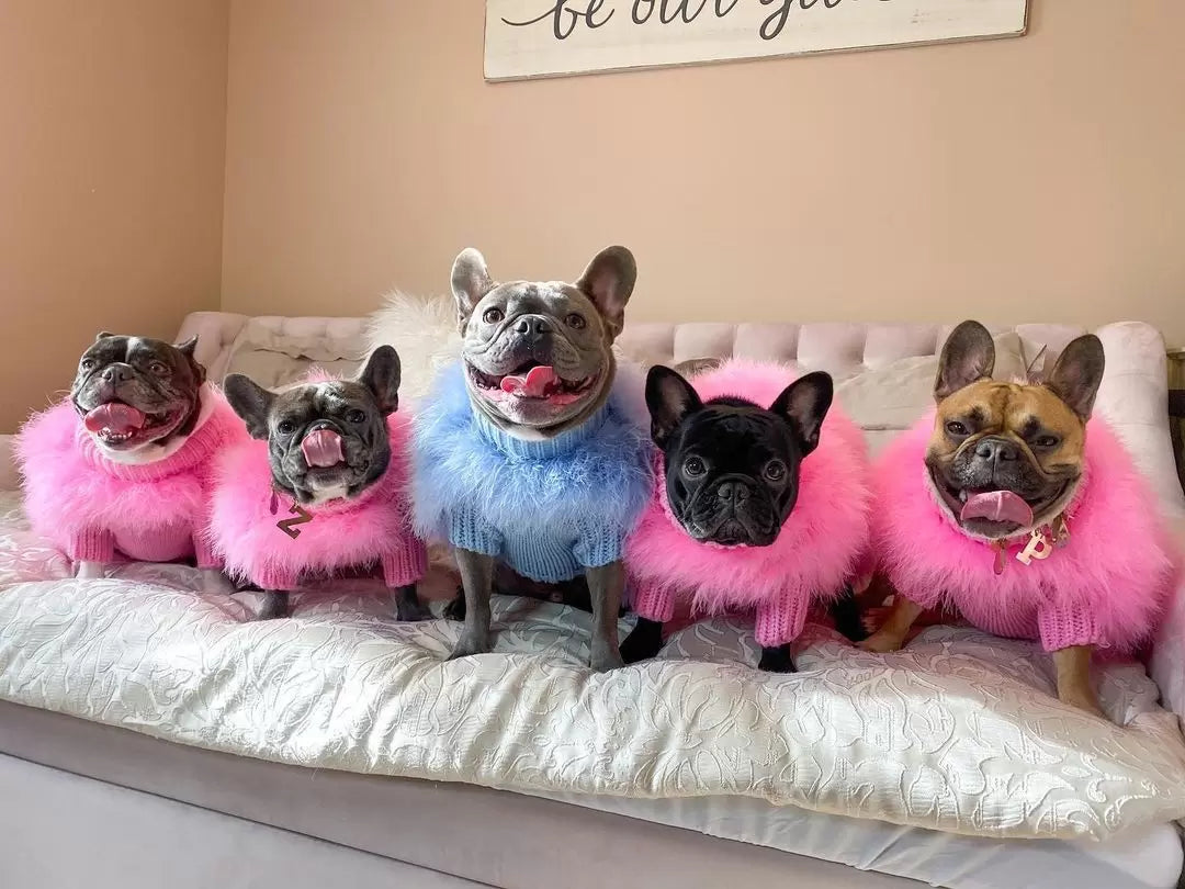 Haute Couture Feathered Luxury Pet Sweater - Tampa Home & Garden Store