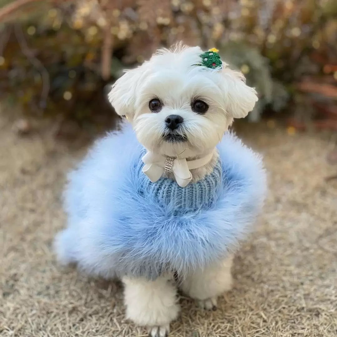 Haute Couture Feathered Luxury Pet Sweater - Tampa Home & Garden Store