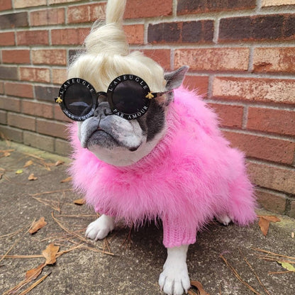Haute Couture Feathered Luxury Pet Sweater - Tampa Home & Garden Store