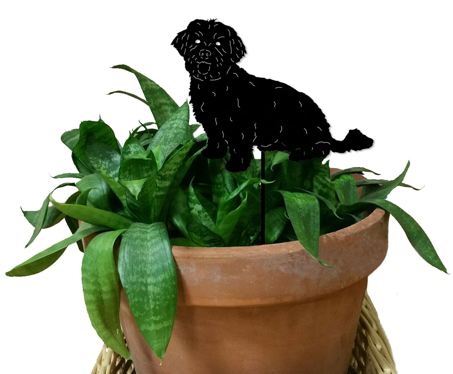 Havanese Dog Plant Stake by Rustica Ornamentals, black silhouette atop a potted plant on Tampa Home & Garden Store