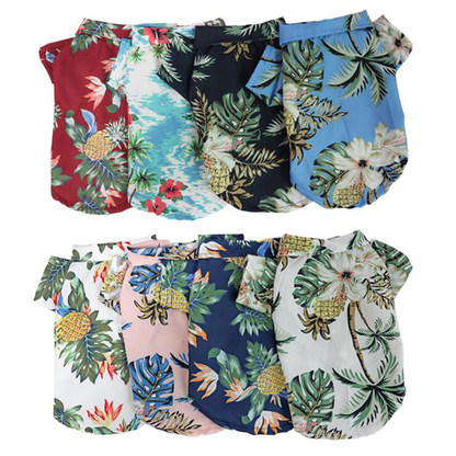 Hawaiian Pet Shirts - Tampa Home & Garden Store