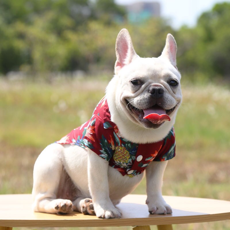 Hawaiian Pet Shirts - Tampa Home & Garden Store