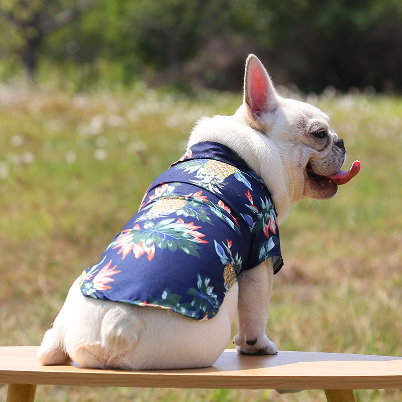 Hawaiian Pet Shirts - Tampa Home & Garden Store