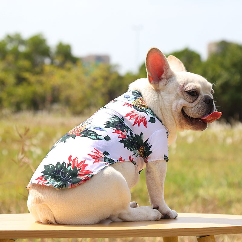 Hawaiian Pet Shirts - Tampa Home & Garden Store