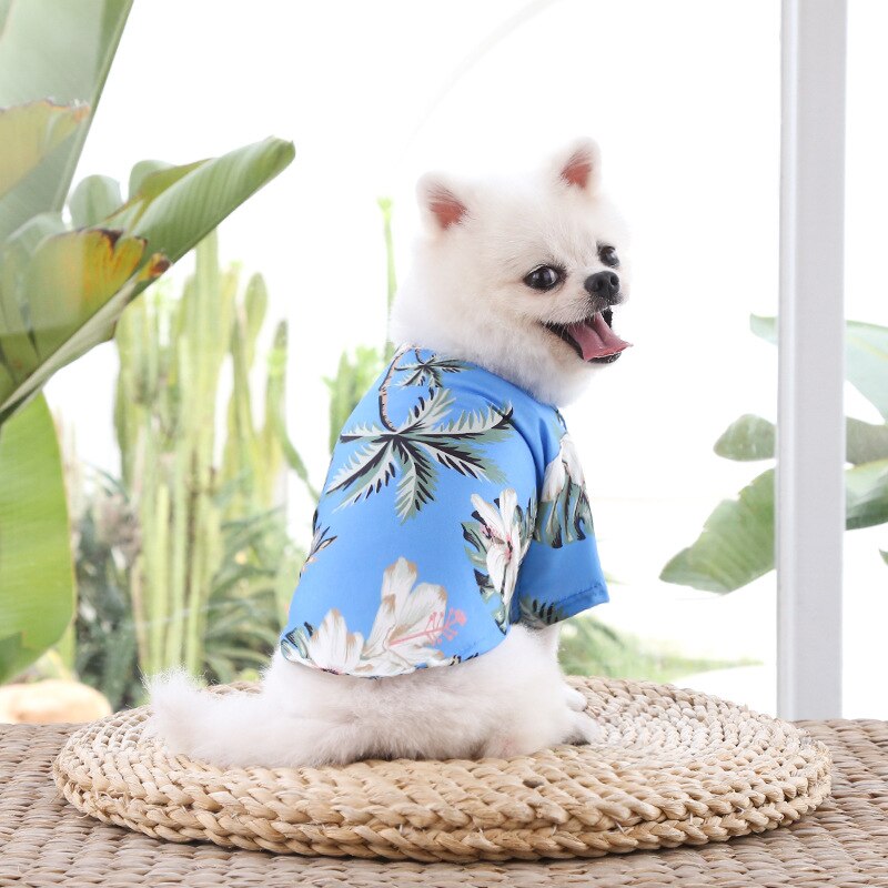 Hawaiian Pet Shirts - Tampa Home & Garden Store