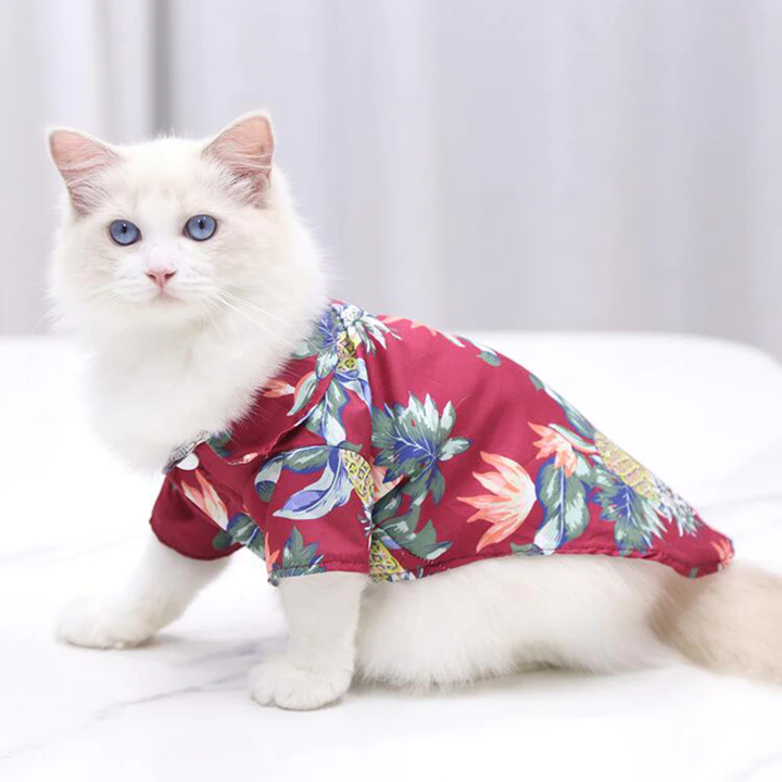 Hawaiian Pet Shirts - Tampa Home & Garden Store
