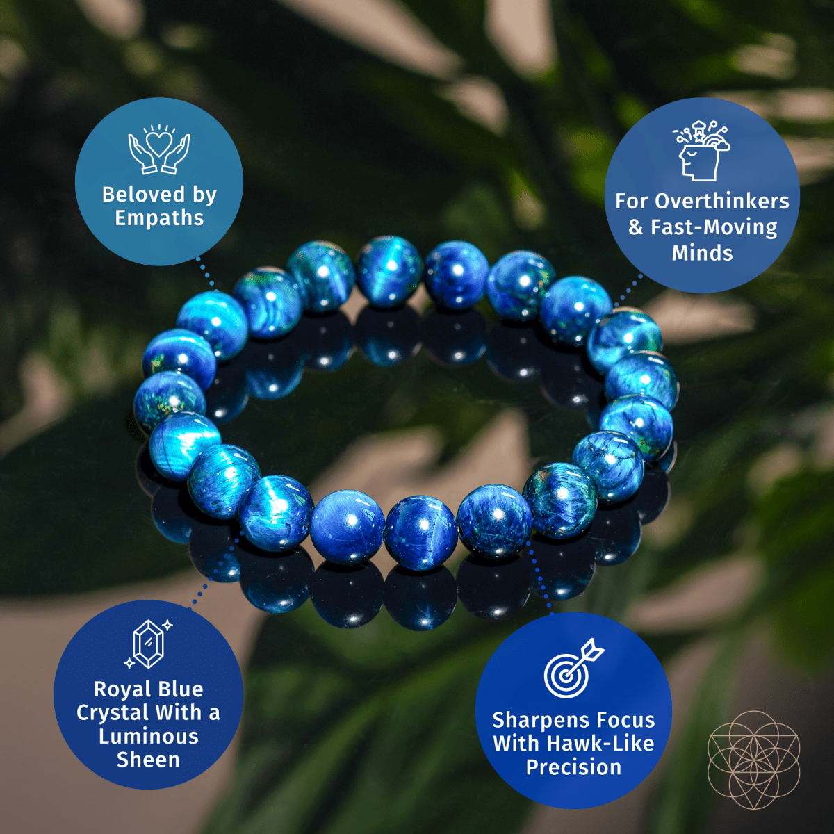 Hawk’s Focus – Royal Blue Tiger’s Eye Bracelet - Tampa Home & Garden Store