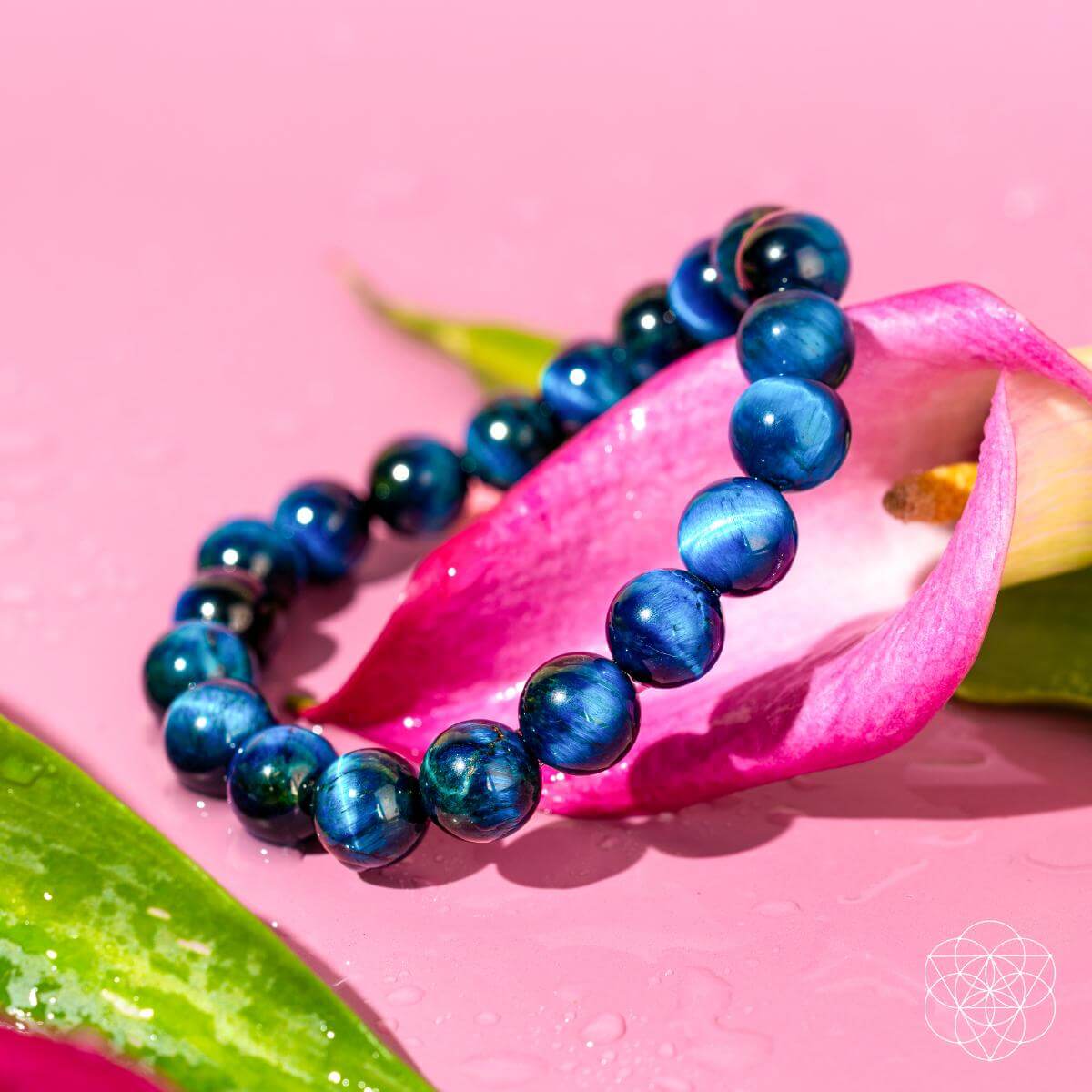 Hawk’s Focus – Royal Blue Tiger’s Eye Bracelet - Tampa Home & Garden Store