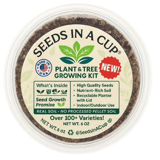 Hazelnut Tree Grow Kit - Tampa Home & Garden Store