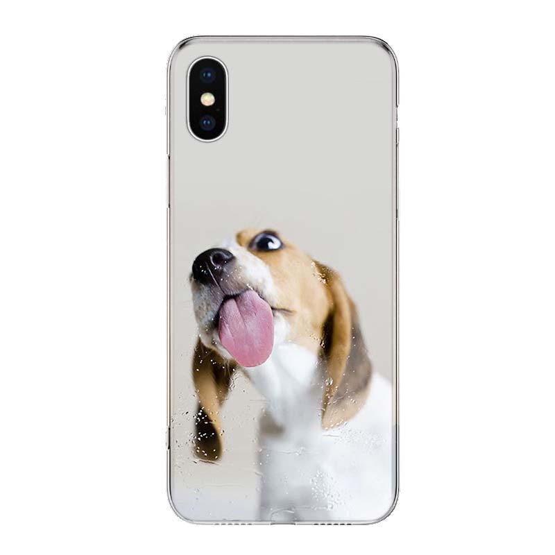 Beagle Dog Phone Case Stevvex clear hard case with playful beagle puppy image for iPhone on Tampa Home & Garden Store