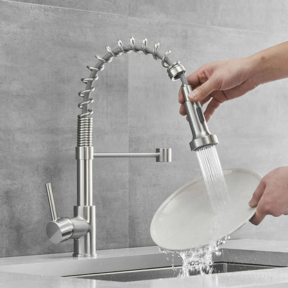 DecorBites Kitchen Faucet, chrome nickel finish, spring-coil gooseneck with pull-down spray on Tampa Home & Garden Store