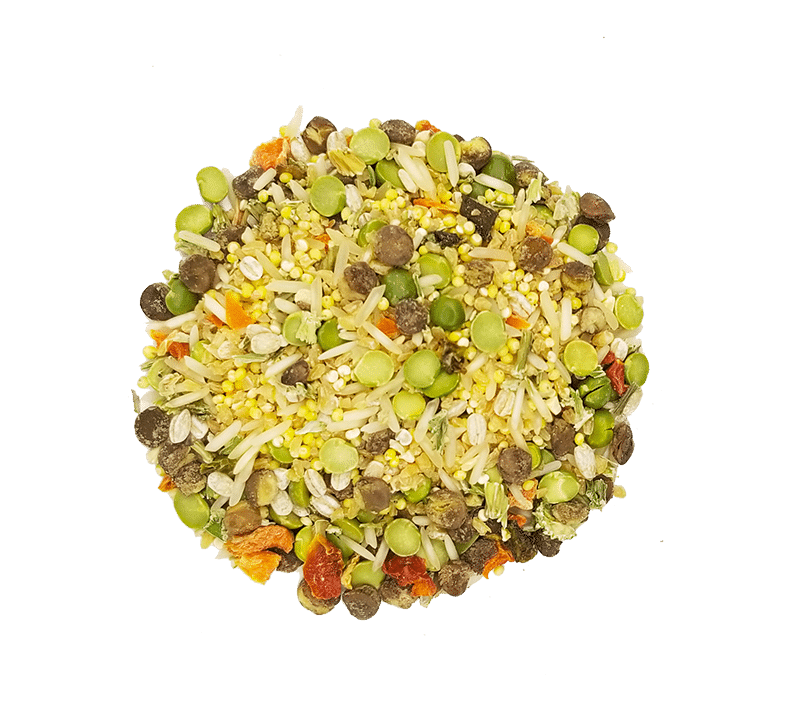 Hearty Veggies - Tampa Home & Garden Store