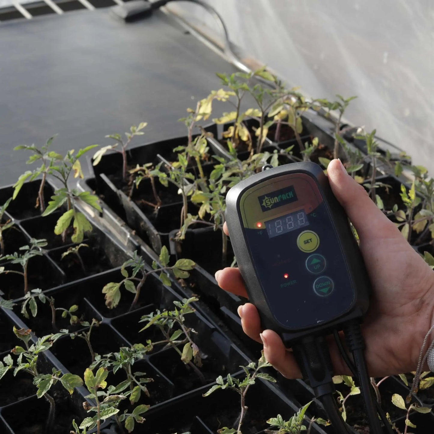 Controlador de temperatura de la estera térmica para plántulas