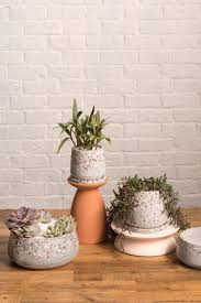 Heather Pot with Saucer 6" - Tampa Home & Garden Store
