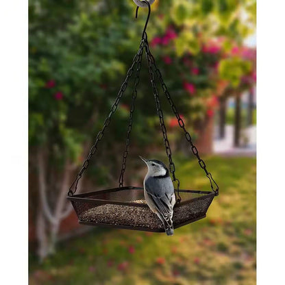 Heavy Duty Black Iron Mesh Bird Feeder Seed Tray with Easy to Hang Chain - Tampa Home & Garden Store