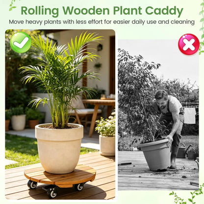 Rolling Plant Stand Set 2 With Lockable Casters
