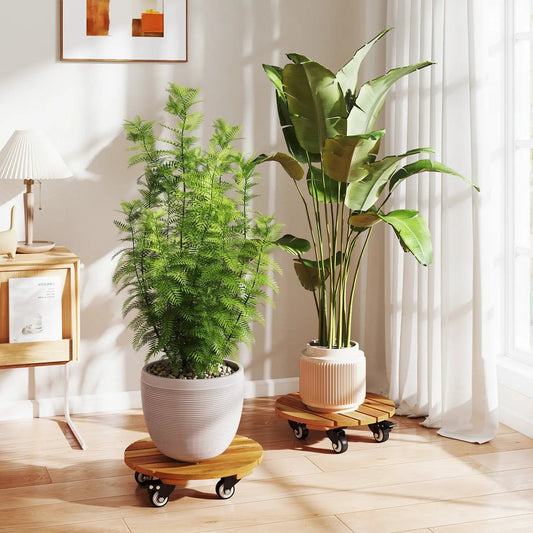 Rolling plant stand set of 2 with lockable casters, wooden round platforms support two large potted plants on a light hardwood floor on Tampa Home & Garden Store