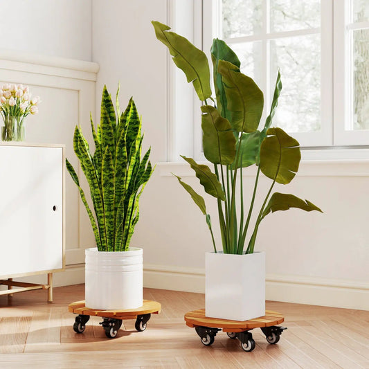 Rolling Plant Stand set of 2 with lockable casters on wooden platforms holding plants on Tampa Home & Garden Store