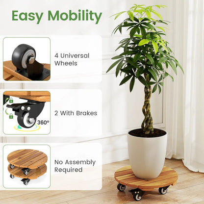 Rolling Plant Stand Set 2 With Lockable Casters