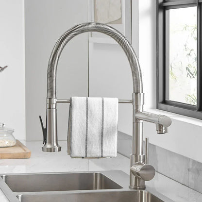 DecorBites dual spout deck-mounted faucet, brushed stainless high-arc spring mixer on Tampa Home & Garden Store