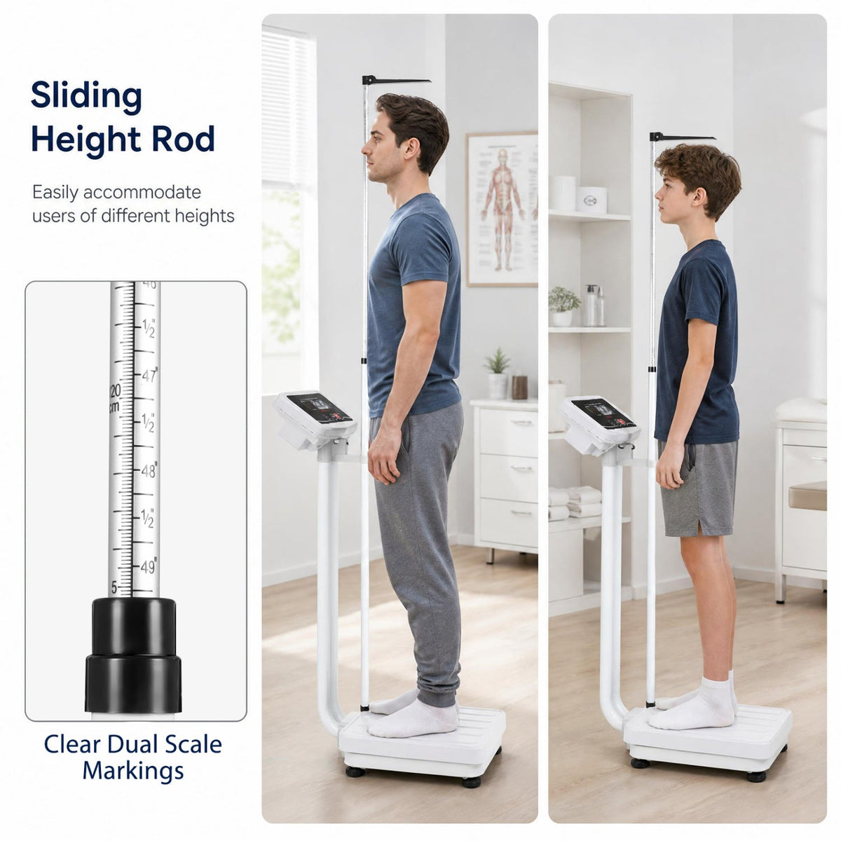 Digital height/weight scale by DirectDeals with LED display 400 lbs sliding height rod on Tampa Home & Garden Store