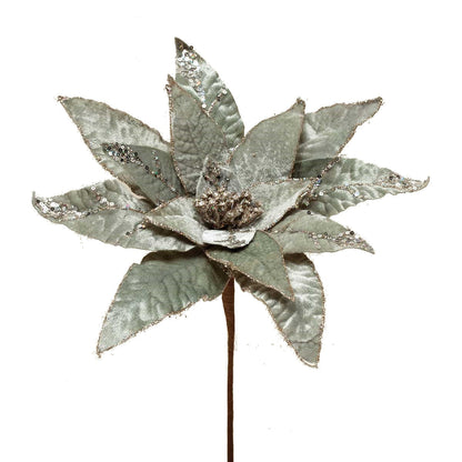 Heirloom Poinsettia Stem - Champagne - Tampa Home & Garden Store