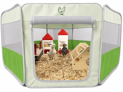 My Pet Chicken Hen Pen Pop Up Brooder, green and gray coop with mesh panels and two chicks on Tampa Home & Garden Store