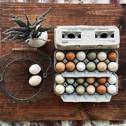 Henlay Blank Stamping Egg Cartons - 25, 90, or 250 - Tampa Home & Garden Store