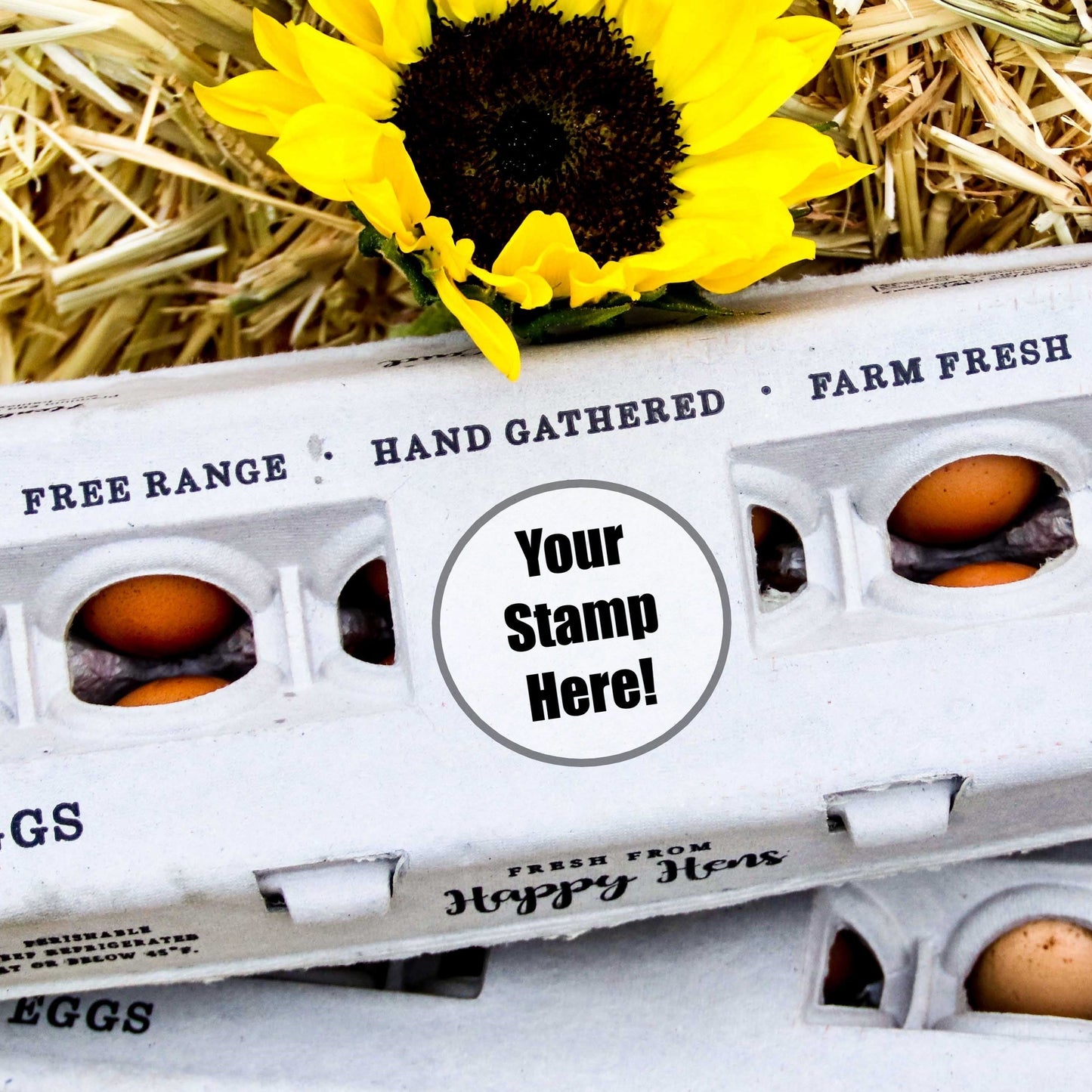 Henlay Blank Stamping Egg Cartons - 25, 90, or 250 - Tampa Home & Garden Store