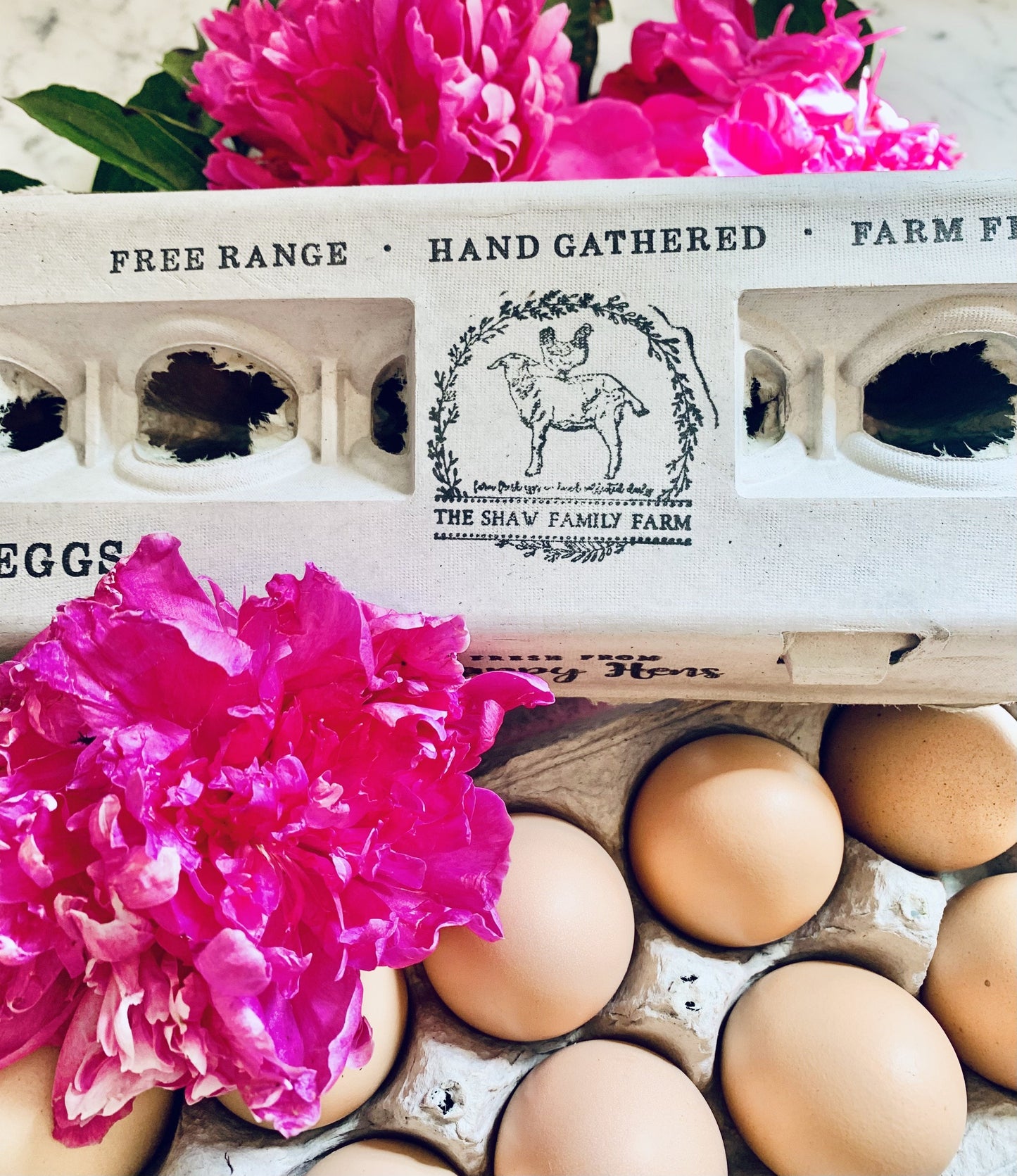 Henlay Blank Stamping Egg Cartons - 25, 90, or 250 - Tampa Home & Garden Store
