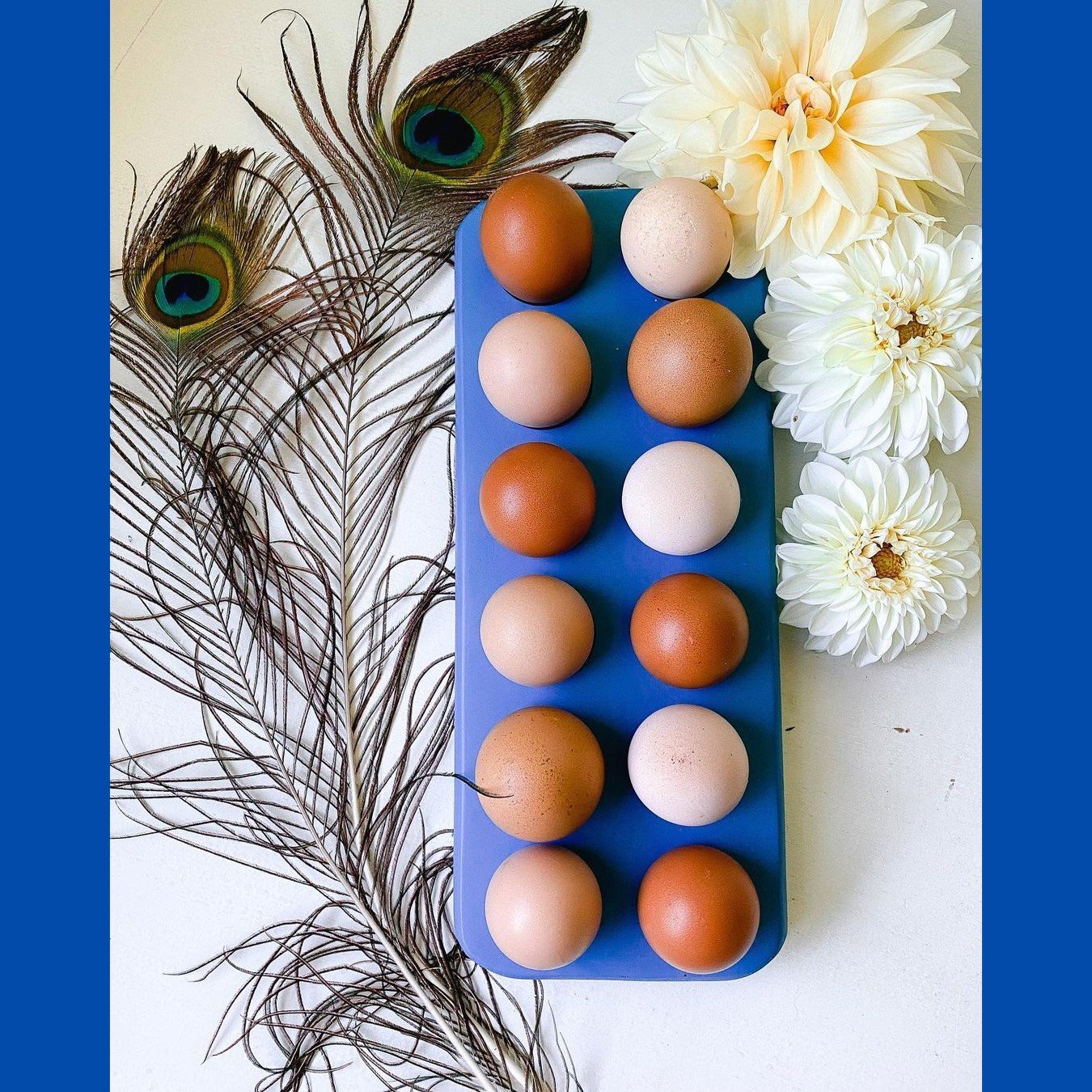Henlay Decorative Egg Storage Tray: Wooden Egg Holder for Refrigerator, Kitchen Counter, Serving, or Display - Tampa Home & Garden Store