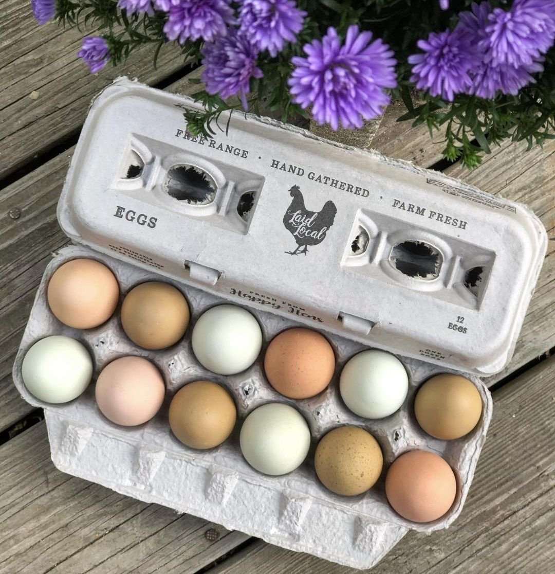 Henlay Laid Local Egg Cartons- Adorable Printed Vintage Design- 25, 90, or 250 - Tampa Home & Garden Store